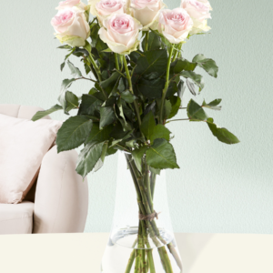 10 zachtroze rozen - Sweet Revival