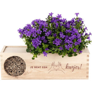 Blooms out of the Box Blooms & Bees