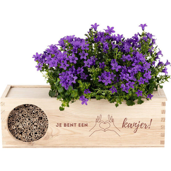 Blooms out of the Box Blooms & Bees