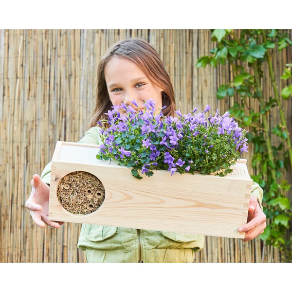 Blooms out of the Box Blooms & Bees - Afbeelding 3