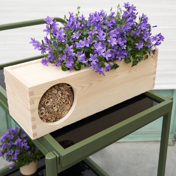 Blooms out of the Box Blooms & Bees - Afbeelding 4