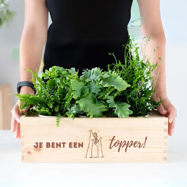 Blooms out of the Box L 'Je bent een topper - Afbeelding 2